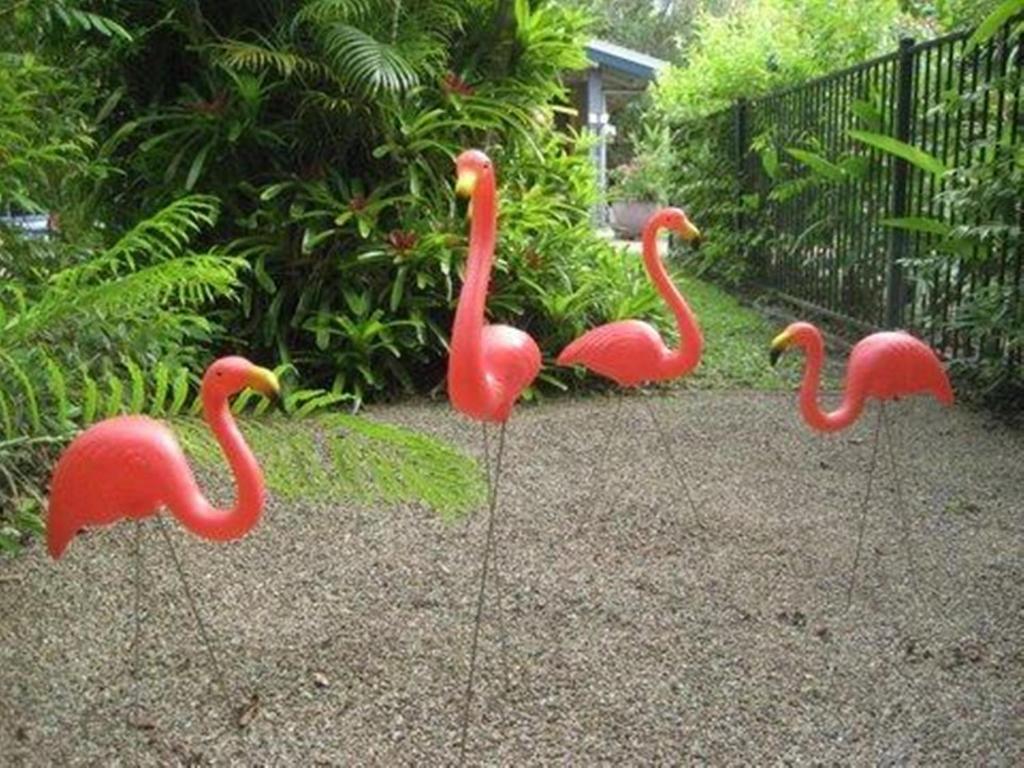 Pink Flamingo Resort Port Douglas Exterior foto