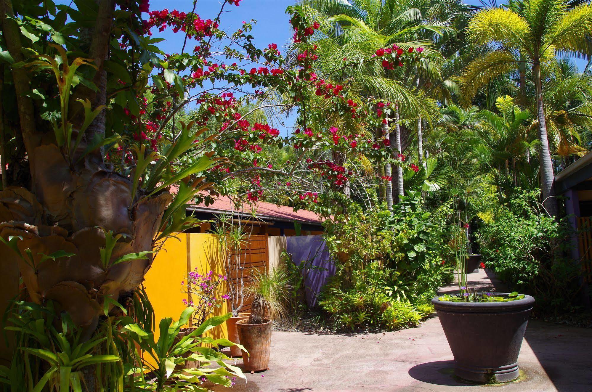 Pink Flamingo Resort Port Douglas Exterior foto