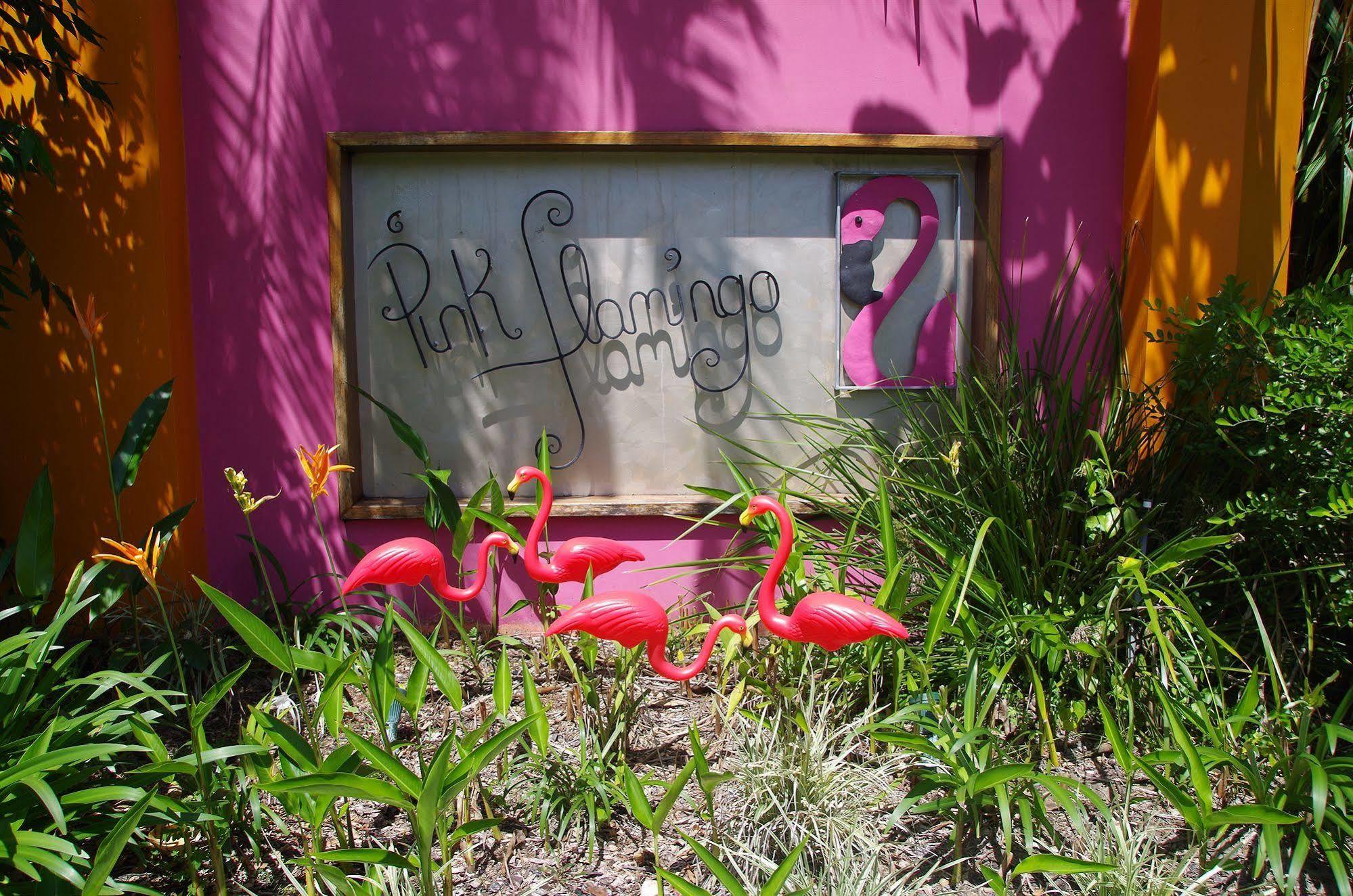 Pink Flamingo Resort Port Douglas Exterior foto